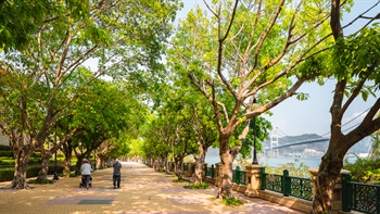 The seaside tree avenue provides a shaded open space for people to relax and enjoy the promenade and the views of the sea.